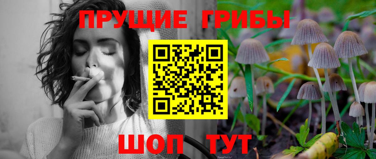 как найти закладки  Псилоцибиновые грибы ЛСД  Вход с VPN  Мелеуз 
